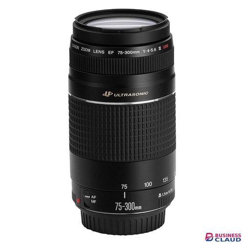 Canon EF 75-300mm f/4-5.6 III USM Lens