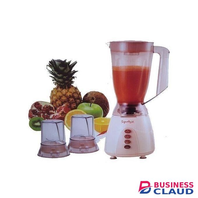 Signature 3-in-1 Blender and Grinder