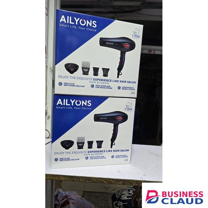 AILYONS Professional Hair Blow Dry Hair Dryer With 4pcs Beauty Accessories - 2400W