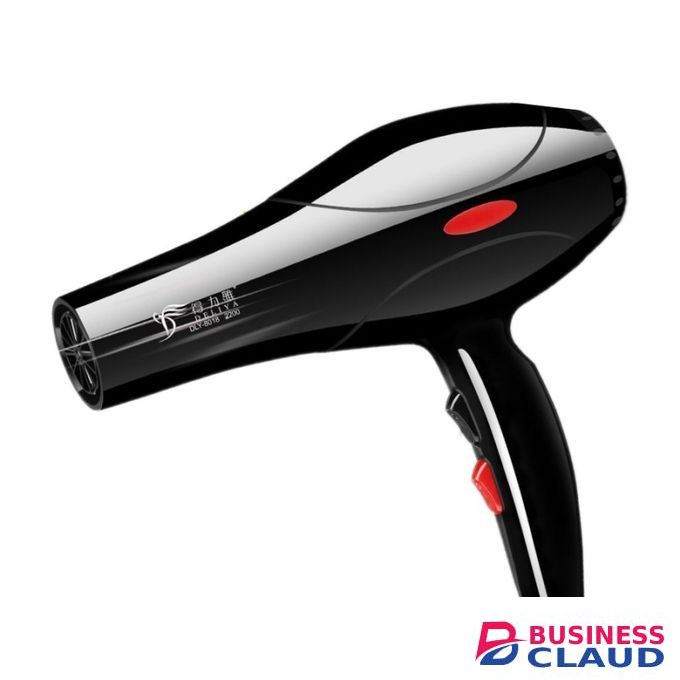Deliya Hair Blow Dryer 2200W Hair Dryer+6 Gifts