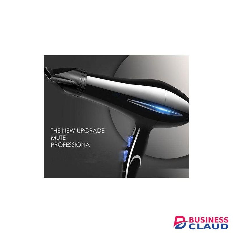 Canye Professional Ionic Hair Dryer for Salon - Powerful Blow Dryer With Hair and nails Accessories, Combs & Flat Iron - Full Set