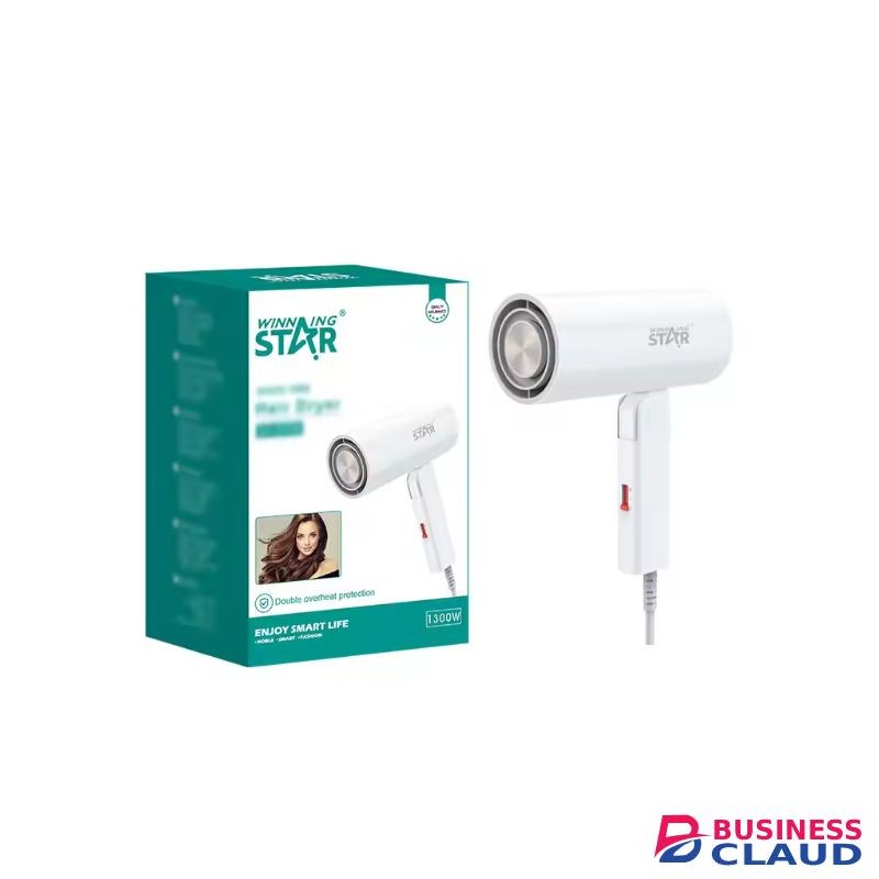 WINNING STAR Hair Blow Dryer Low Noise Compact Mini One Step Salon