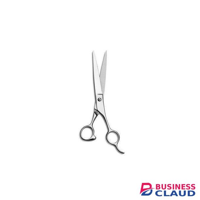 Zinger Professional Cutting High Quality Scissors