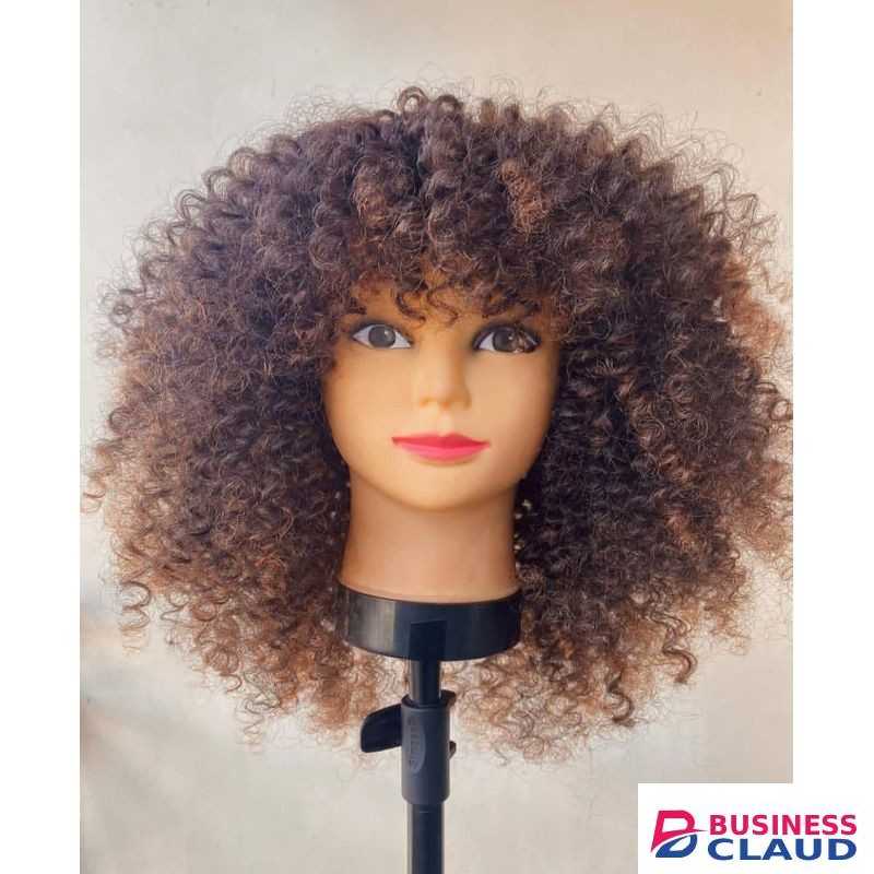 CURLY WIG (Afro wig)