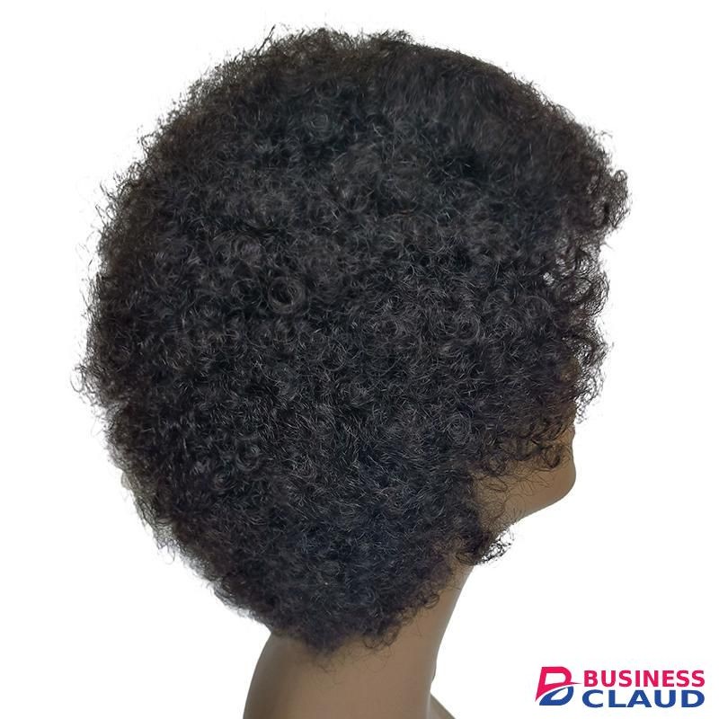 Fashion Idol Human STYLE ICON Nature Pixied Cut Afro Curl Wig AMNA Color 1B Afro Curl Made-Machine Wig Human Nature Hair Wig For Women