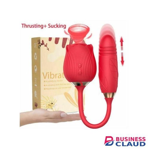 Two-in-one Rose USB Rechargeable G-Spot Vibrator,Sucking And Thrusting Adult Dildo Sex Toy For Women