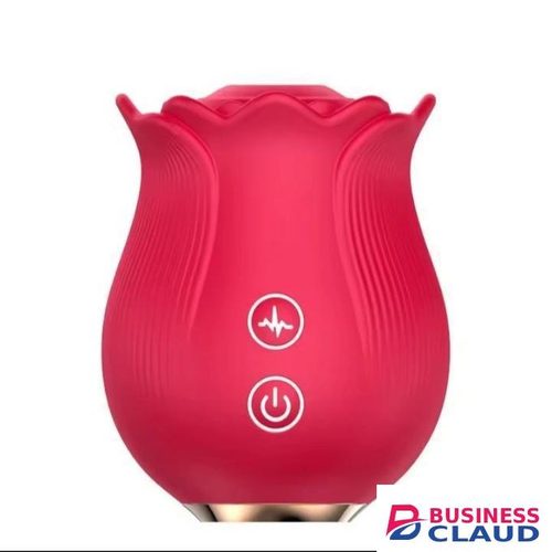 New Rose Sex Stimulator for Women, Quiet Various Speed Toys Waterproof Automatic Electric Toys Machine Pleasure, USB Fast Charge, Powerful Dual Motor