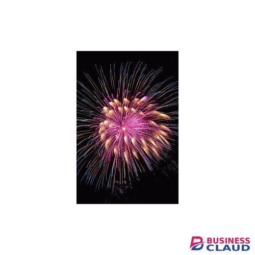 Shogun Party Craft Celebrations Fireworks