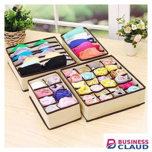 4in1 Under Garments Organizer
