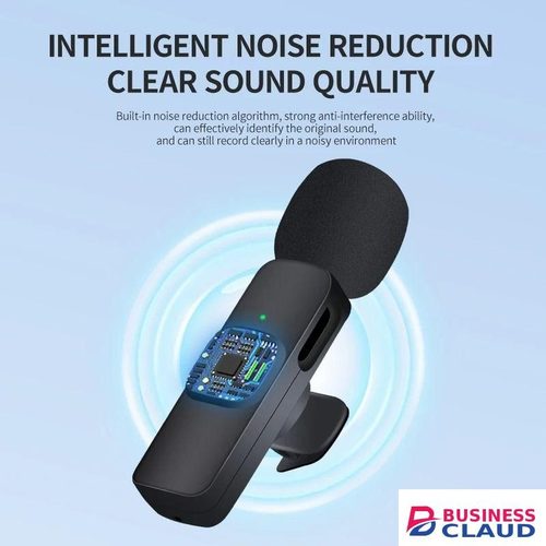 Portable Wireless Lavalier Mic with Stereo Sound for Outdoor Interviews