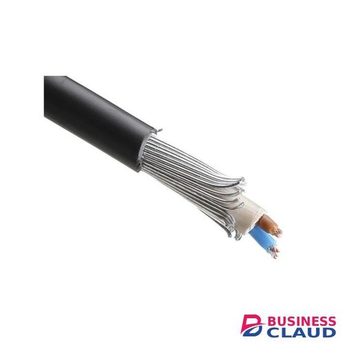 2.5 mm 2 Core Armoured Cable – Cable Connect (Per Meter)