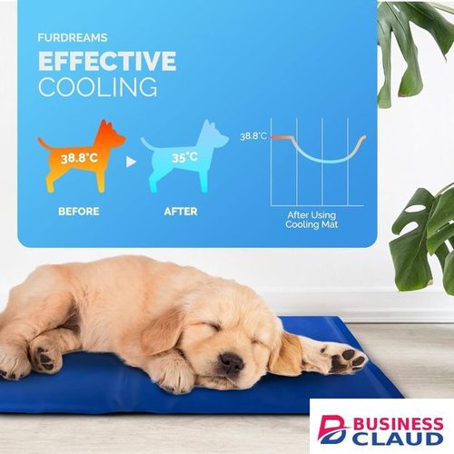 Self Cooling Mat Bed for Dogs, Cats to Prevent Overheating During Rest & Sleep – Heat Absorbing & Waterproof Gel Pillow Pad to Keep Ice Cool–Plain