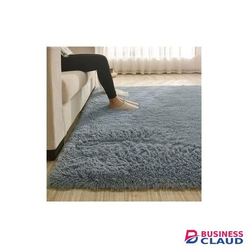 5 by 8 feet Modern Fluffy Area Rug, Shaggy Rugs for Bedroom Living Room Ultra Soft Shag Fur Carpets