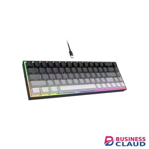 Hot Swap 68 Keys Gaming Keyboard PBT Side Printed Keycaps Blue Switch Purple Pink Wired Mechanical Keyboard for Computer Laptop