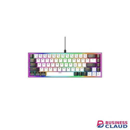 JERTECH Type c mechanical gaming keyboard 60% mini keyboard with 61 keys RGB wired backlight keyboard for office and gaming