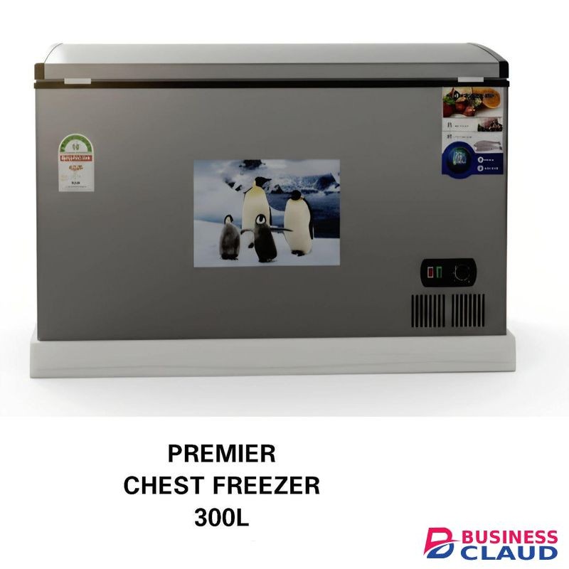 Premier 300-Liter Chest Freezer DURABLE AND ENERGY SAVING