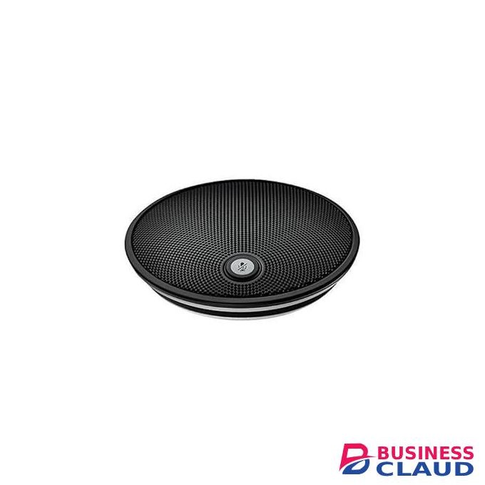 Logitech GROUP Camera Expansion Mics for Large Meetings (2 Packs) - Black (1YR WRTY)