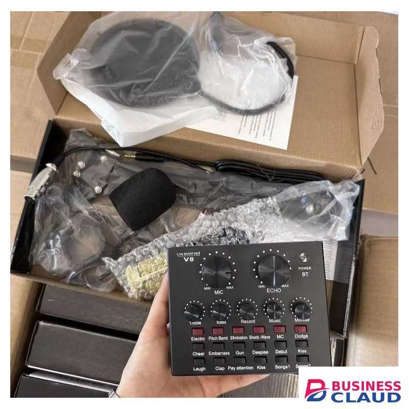 BM800 Mic Set with V8 Board for Online Classes