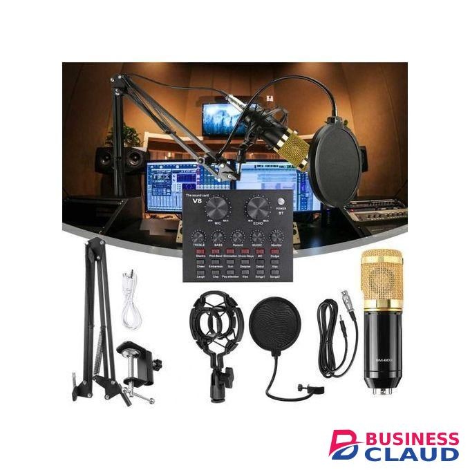 BM800 Condenser Mic V8 Sound Card Combo for Live Streaming and Online Broadcast