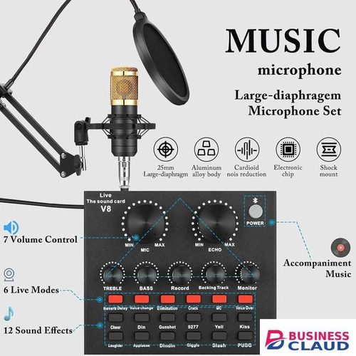 BM800 Microphone Kit With V8 Sound Card For Music Production Online Streaming Podcast Setup
