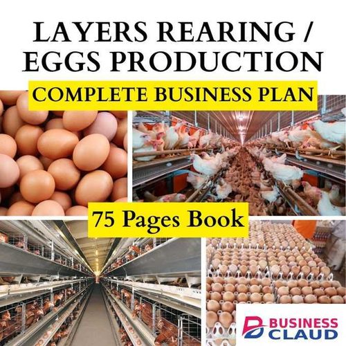 Layers Rearing / Eggs Production: Complete Business Plan for Kenyans