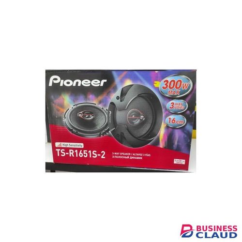Pioneer Blasting 300 Watts 6 Inch Car Door Coaxial Speakers
