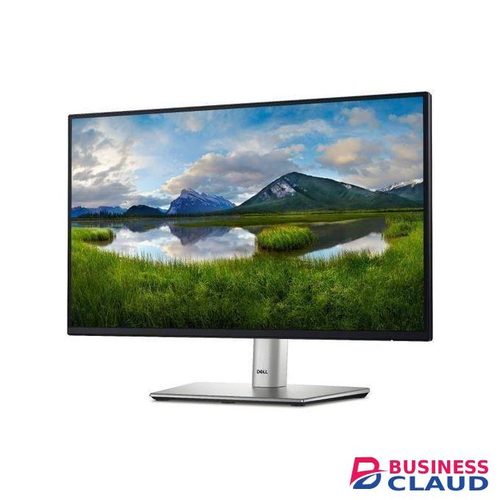 DELL P2422H Monitor, 23.8" FHD (1920 x 1080), Height, Pivot (rotation), Swivel, Tilt