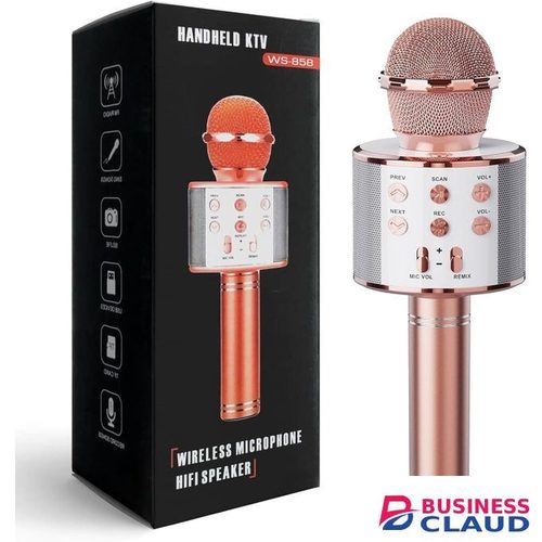 Portable Karaoke Microphone for Kids & Adults – Wireless Singing Fun