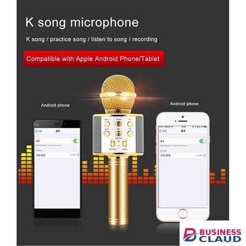 Portable Karaoke Mic with Stereo Speaker & LED Display