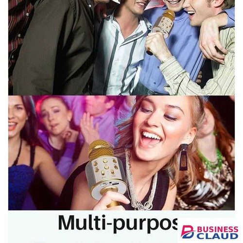 Bluetooth Karaoke Microphone with 360° Surround Sound Speaker