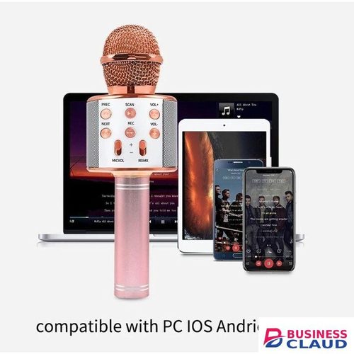 Professional Wireless Karaoke Microphone for Singing Anywhere