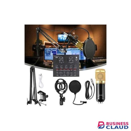 BM800 Kit with V8 Sound Card for Podcasting, Karaoke, and Broadcasting