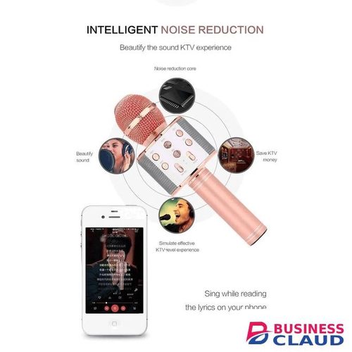 All-in-One Karaoke Mic with Echo, Reverb & LED Party Lights