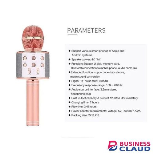 Portable Karaoke Microphone with USB Charging & LED Light Show