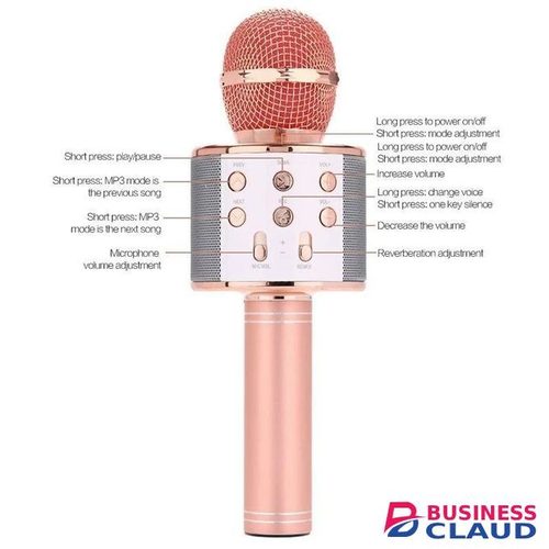 All-in-One Karaoke Microphone with TF Card Slot & USB Input