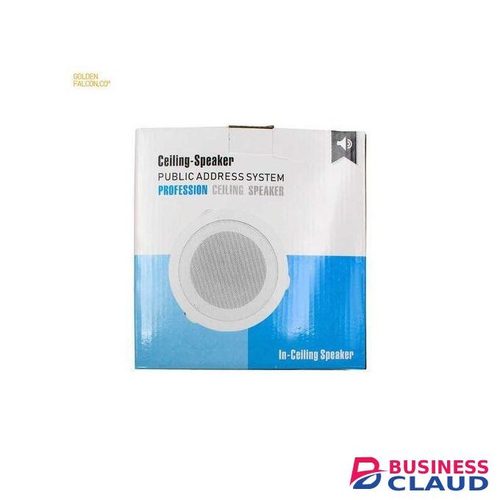 Professional In-Ceiling Speaker Public Address System