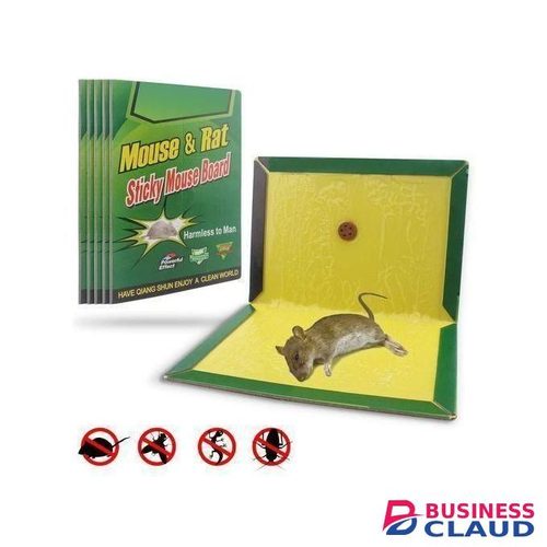 10pcs Doom Mouse And Rat Glue Board