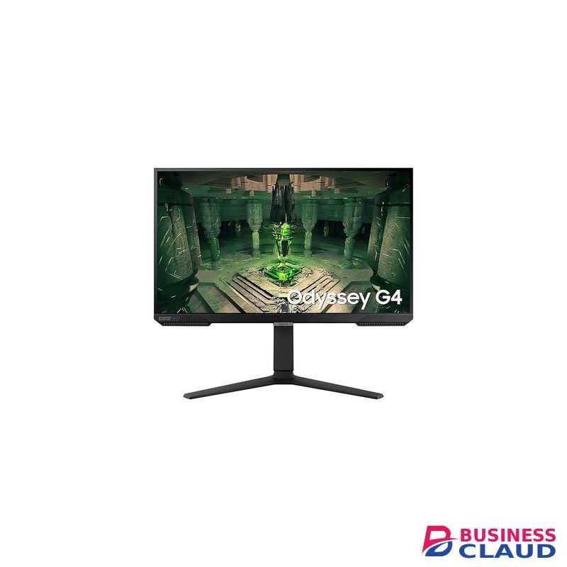 Samsung 25 inch FHD monitor with IPS panel (LS25BG402EMXUE)