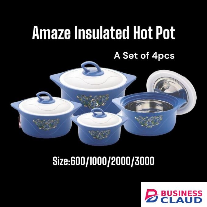 Amaze 4pcs Insulated Hotpots For Food Storage