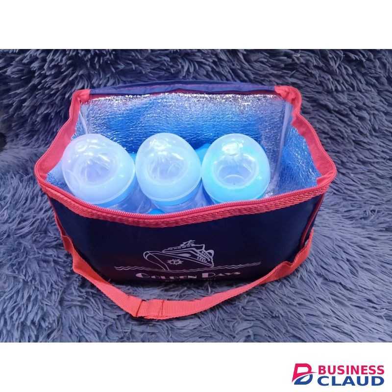 Insulated bag