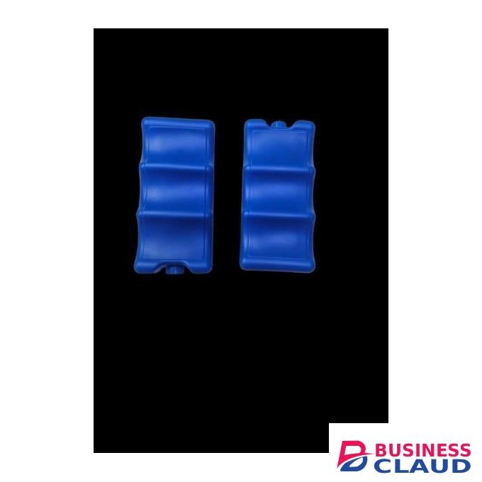 Breastmilk 2 pcs Ice Pack -Bottle Ice Packs for Breastfeeding