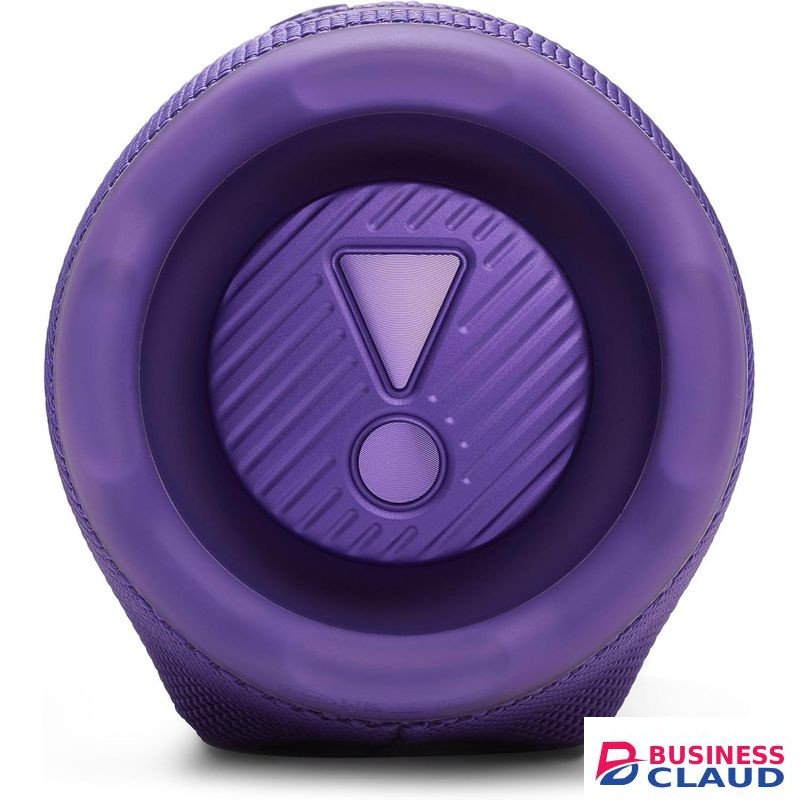 Jbl Charge 6 Original Wireless Portable Bluetooth Speaker, 28 Hours of Playtime, IP68 Waterproof, Dustproof and Drop-Proof, Pro Sound with AI Sound Boost, Auracast Multi-Speaker Connection, (Purple)