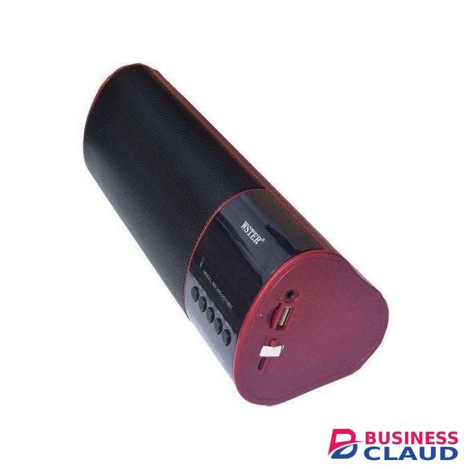 Wster WS-2519BT Portable Bluetooth Speaker With FM RADIO