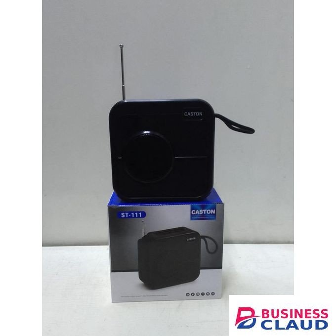 Caston ST-111 Portable Bluetooth Speaker.