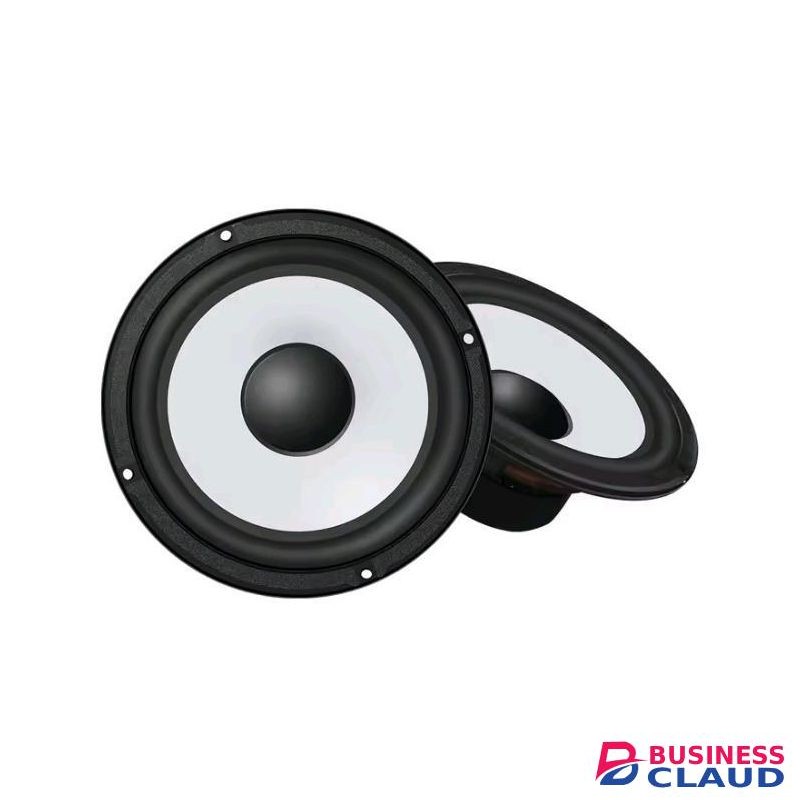 6.5 inch sub woofer speaker mid range speaker 100W 8 ohms