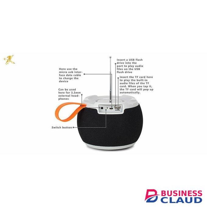 Caston Portable Hi-Fi High Quality Speaker