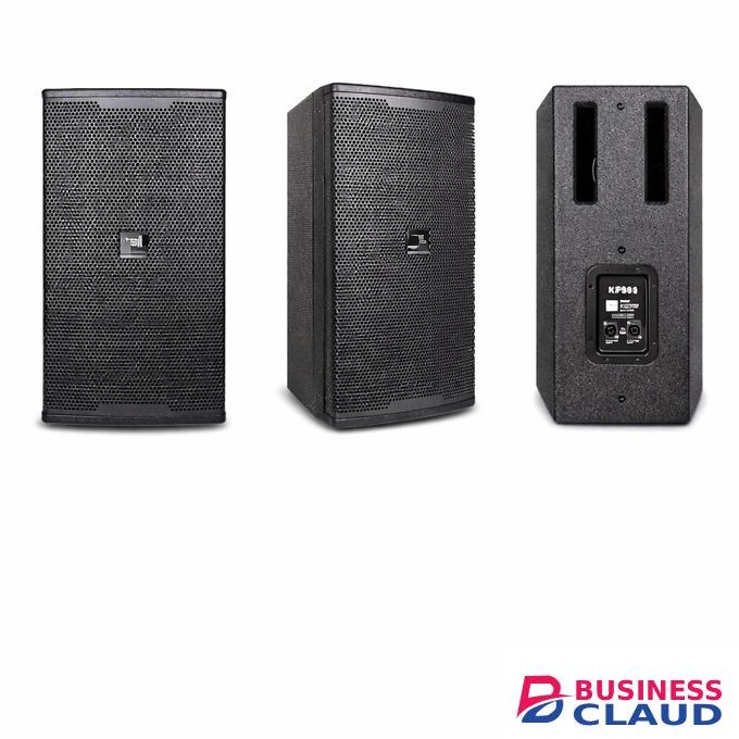 Premier 15 Inch Wooden PA Speaker Box, High Power Passive Sound Cabinet