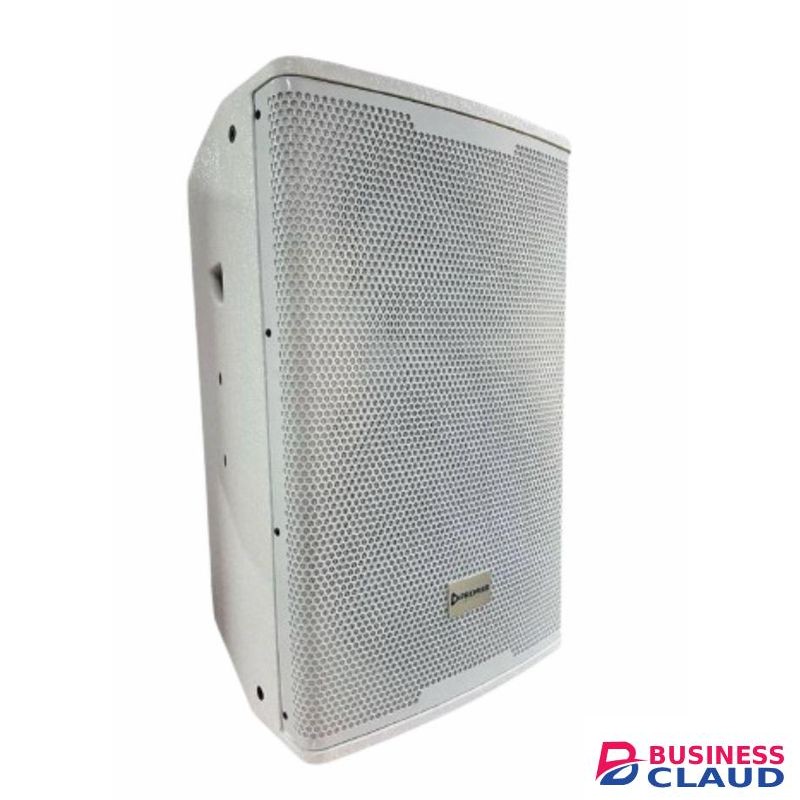 Premier 15 inch wooden speaker