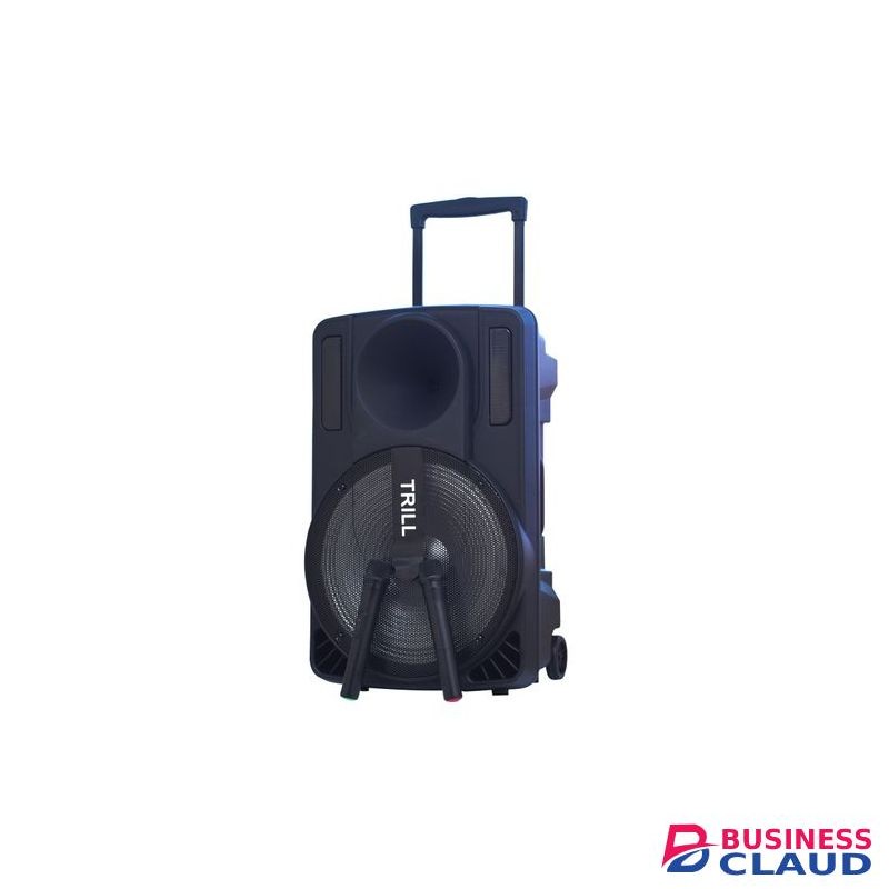 Trill TD- D250 RECHARGEABLE 15'' SPEAKER