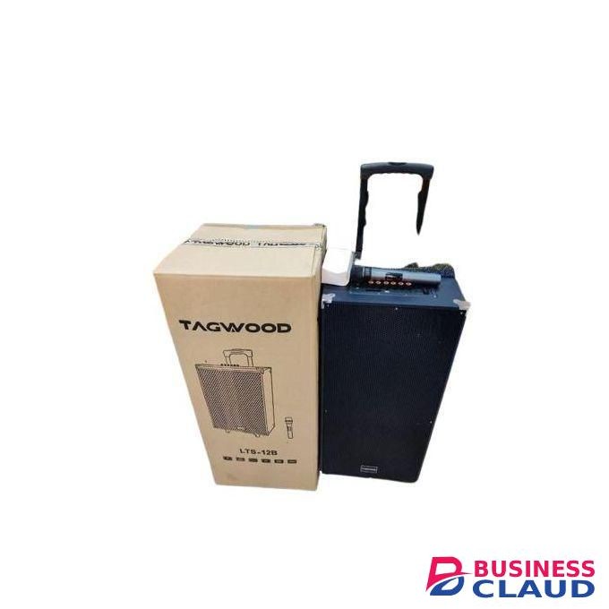 TAGWOOD 12" 12B Rechargeable Portable Speaker,Has Double built-in Speakers Very Powerful